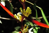 2010-03-09