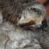 2010-03-08