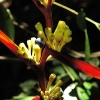 2010-03-09
