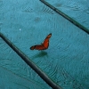 2010-03-10