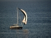 DSC_0179.jpg
