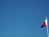 DSC_0307.jpg