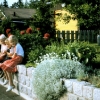 6-8-2009_003