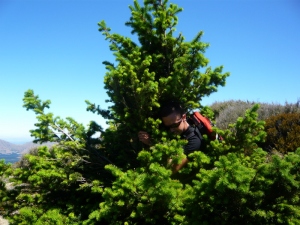 P1000415.jpg