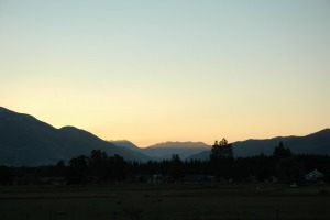 DSC_0323.JPG