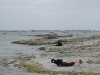 DSC_0363.JPG