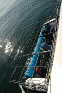 2009-04-15 - Gaansbai