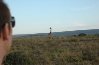 2009-04-18 - Kwandwe