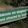 2009-04-14 - Simonstown