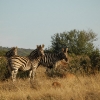 2009-04-18 - Kwandwe