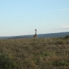 2009-04-18 - Kwandwe