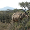 2009-04-19 - Kwandwe