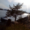 Drottningholm, 1 juli