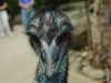 DSC_0166.JPG